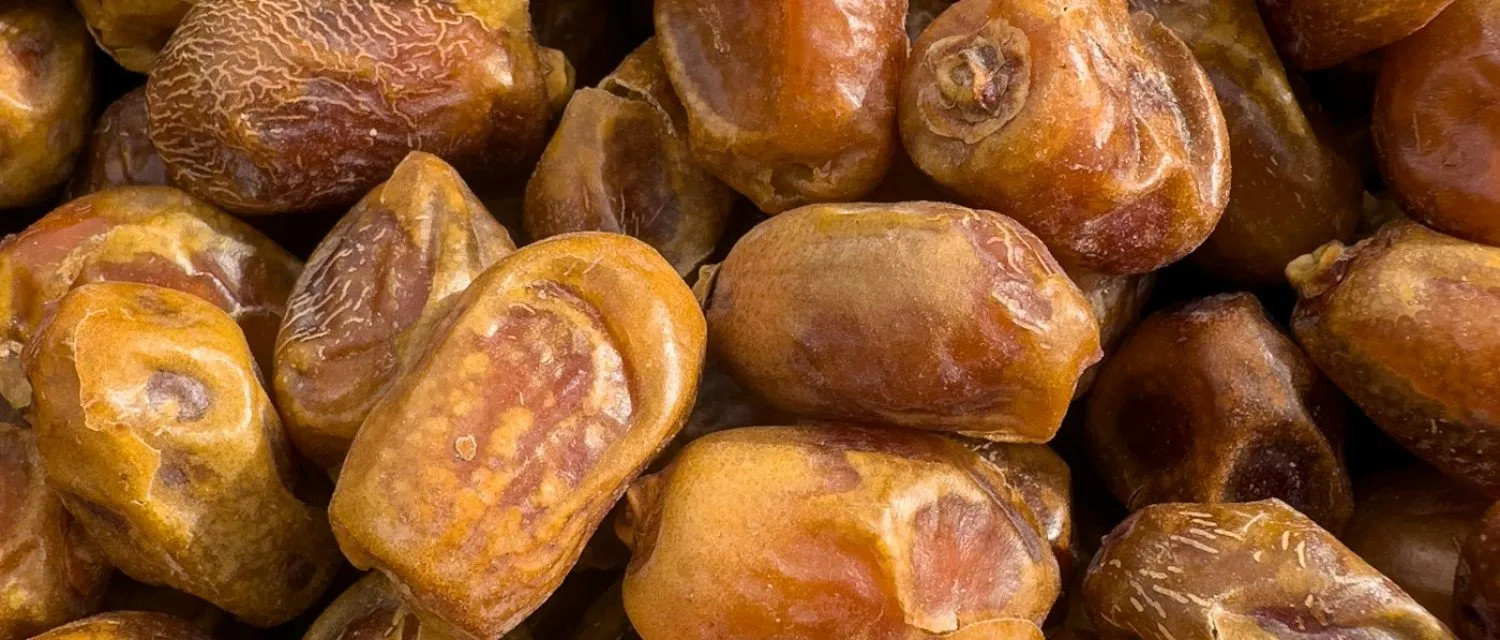 স্বাস্থ্যকর   খেজুর