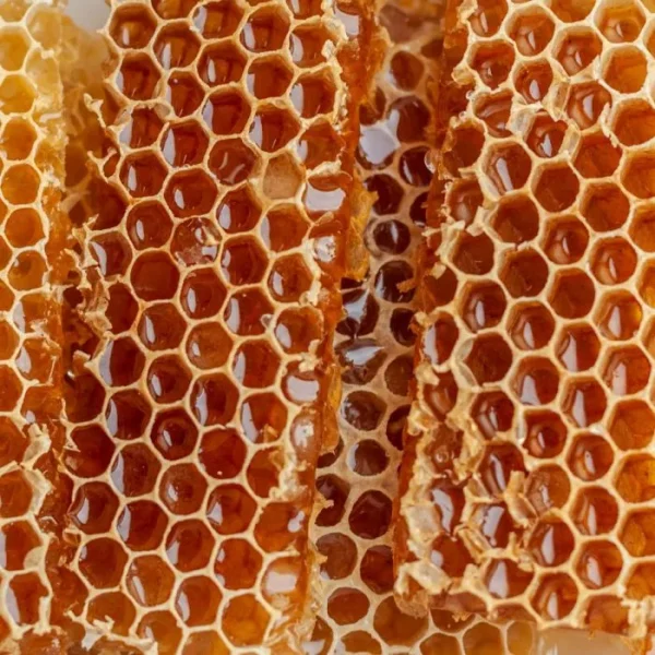 চাকসহ প্রাকৃতিক মধু — ৫০০ গ্রাম